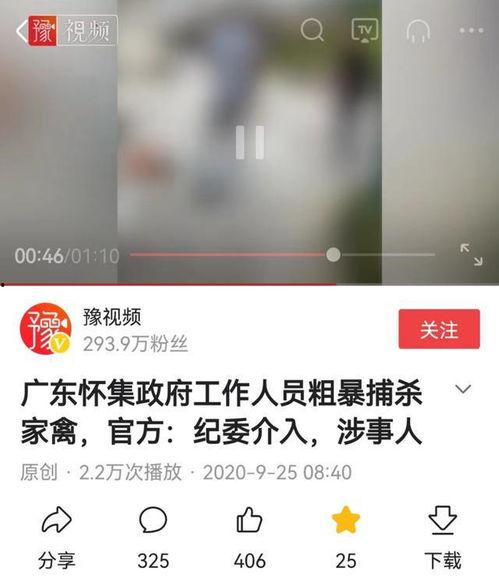 爆料鸡的视频在线观看,视频内容深度解析 第3张 爆料鸡的视频在线观看,视频内容深度解析 第3张